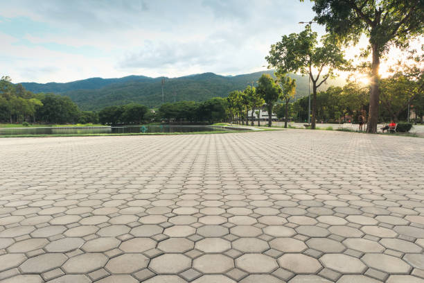 Best Driveway Pavers Near Me  in Richland, WA