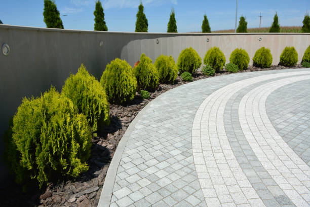 Reasons to Select Us for Your Driveway Paving Requirements in Richland, WA